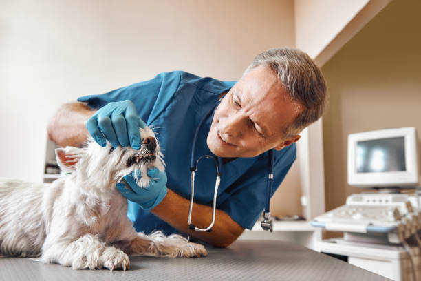 Best Emergency Root Canal Treatment in Berkeley Lake, GA